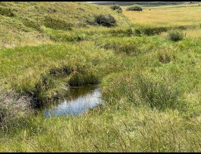 FARM FOR SALE IN LINDLEY